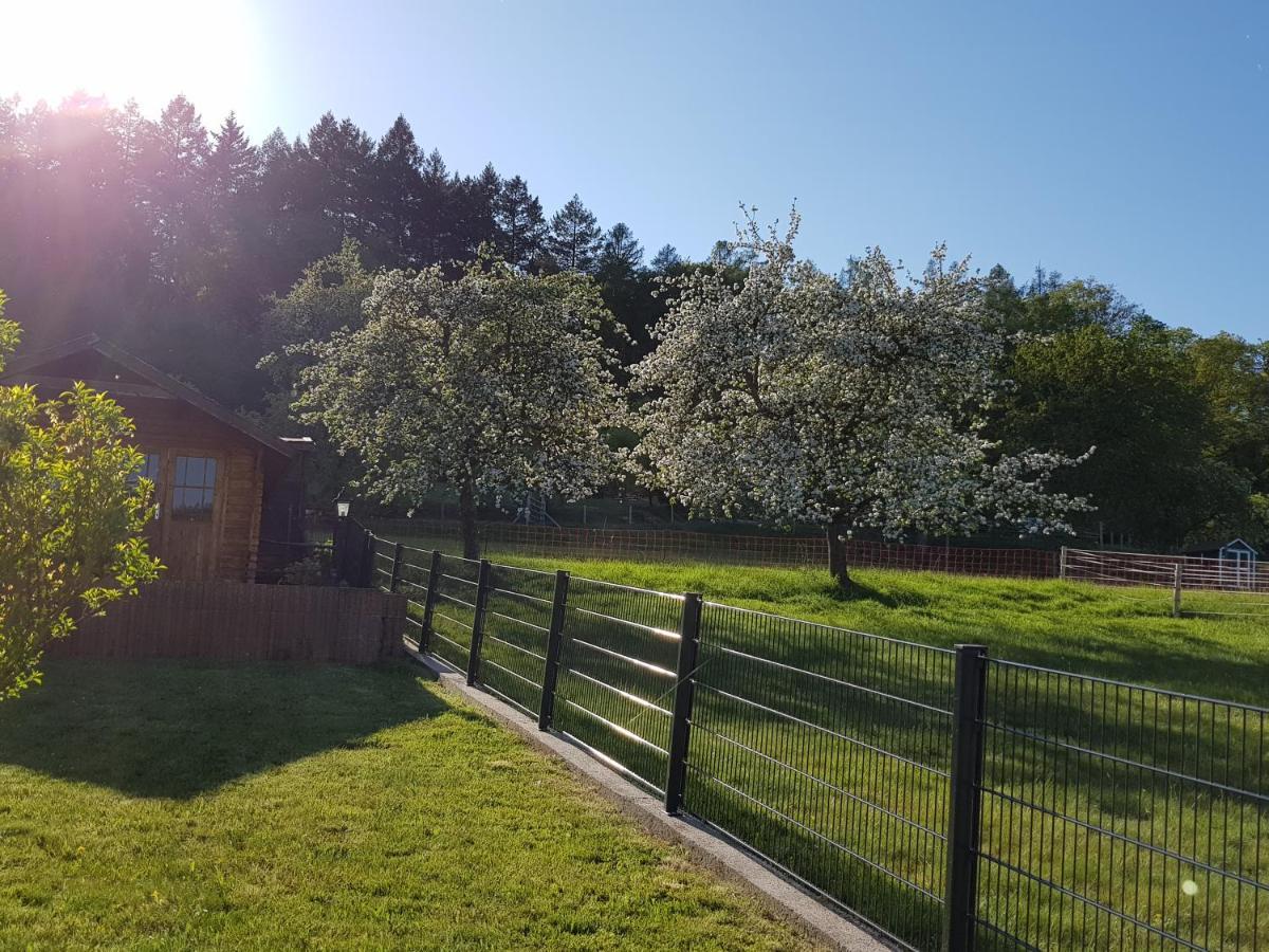 Ferienwohnung Tinas Beauty Neckarsteinach Esterno foto