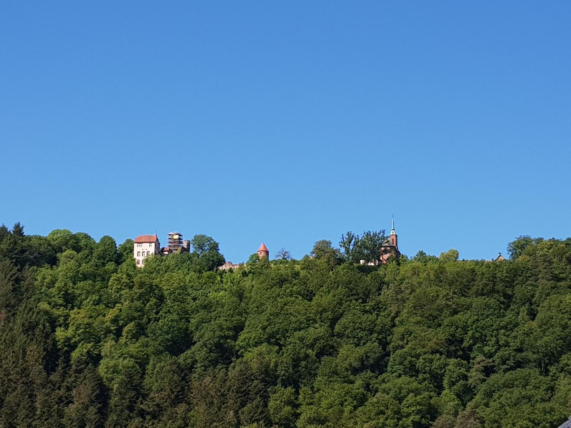 Ferienwohnung Tinas Beauty Neckarsteinach Esterno foto