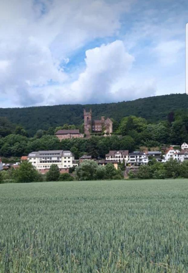 Ferienwohnung Tinas Beauty Neckarsteinach Esterno foto