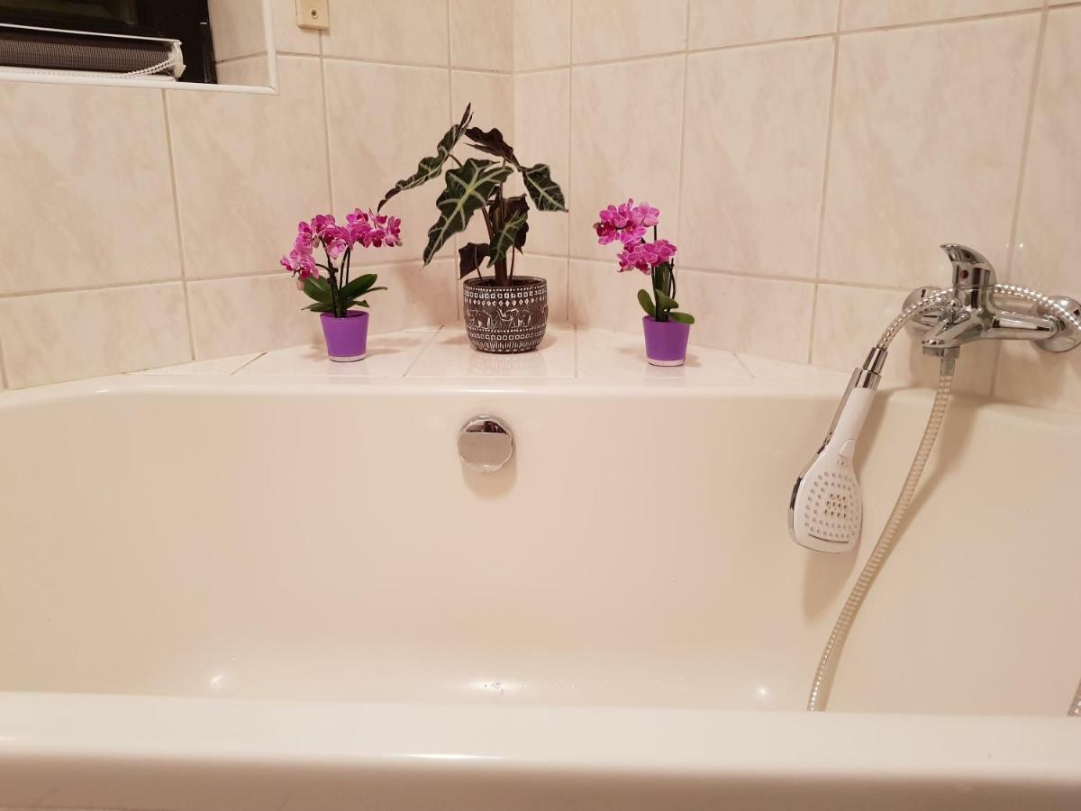 Ferienwohnung Tinas Beauty Neckarsteinach Esterno foto