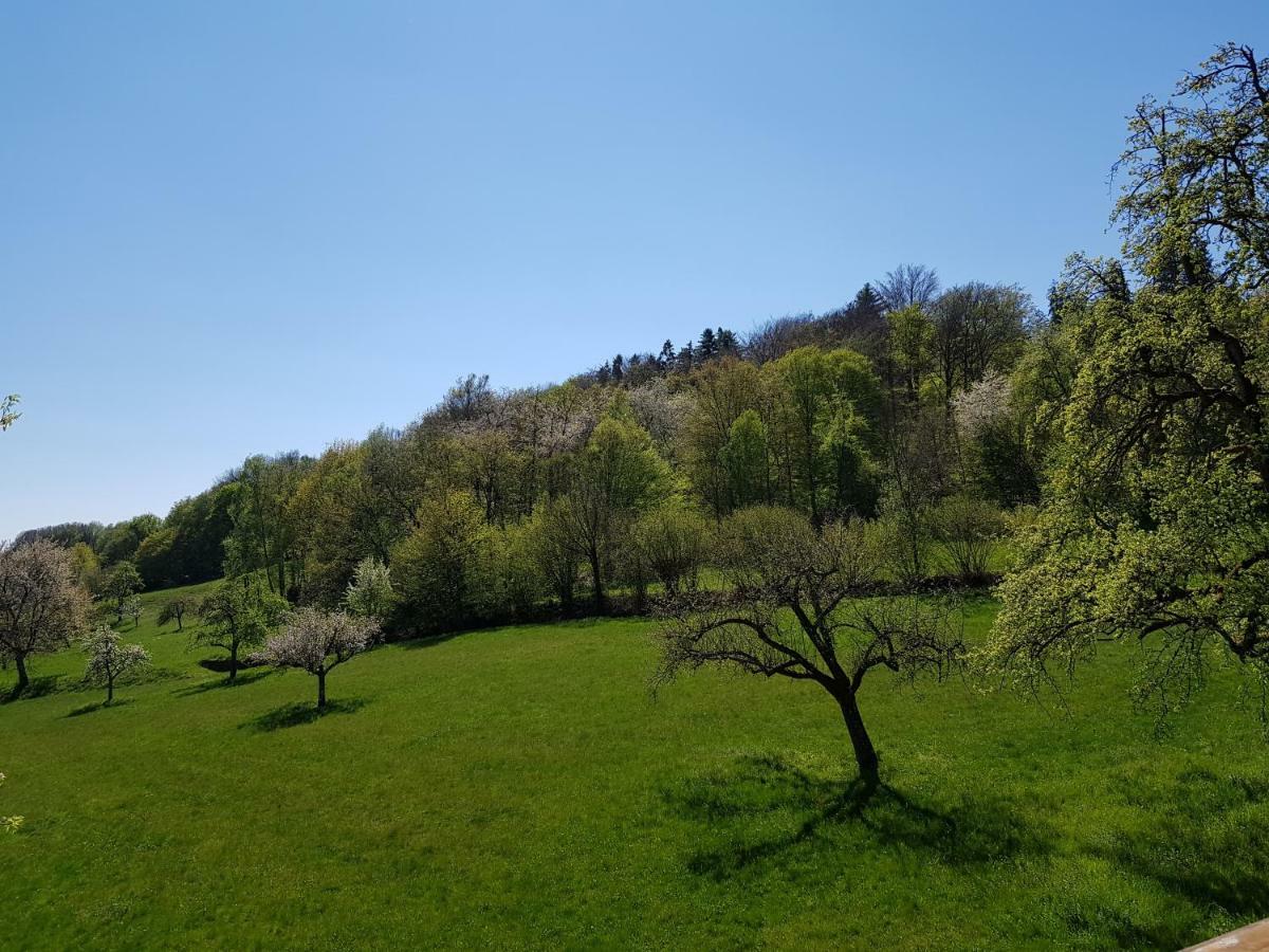Ferienwohnung Tinas Beauty Neckarsteinach Esterno foto