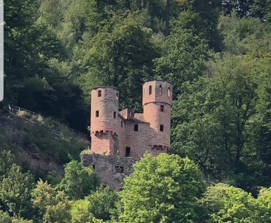Ferienwohnung Tinas Beauty Neckarsteinach Esterno foto